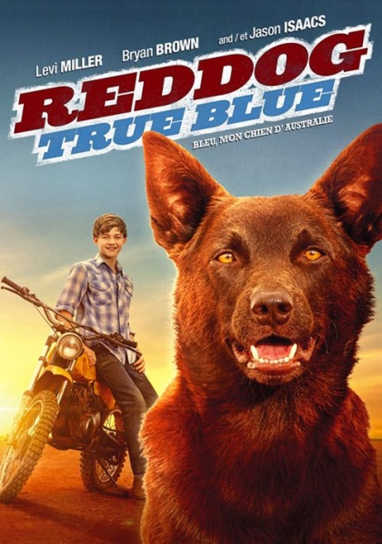 Rudý pes: Blue / Red Dog: True Blue (2016)