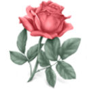 9vits72ufx48m9soctg.png